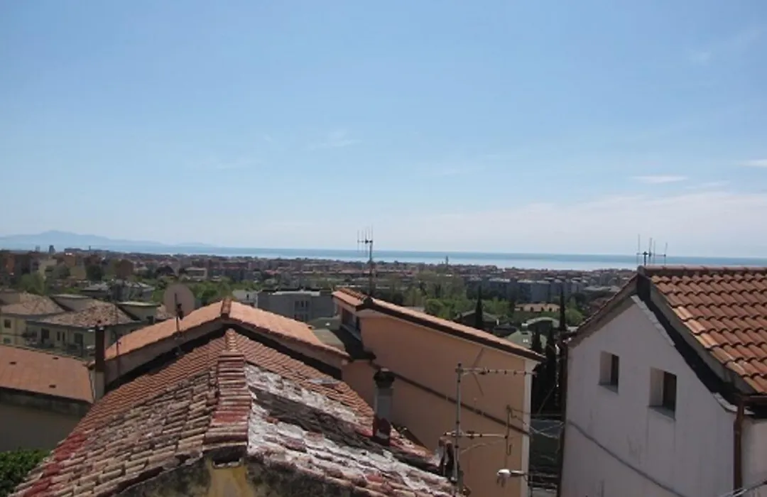 B&B Moscani-1