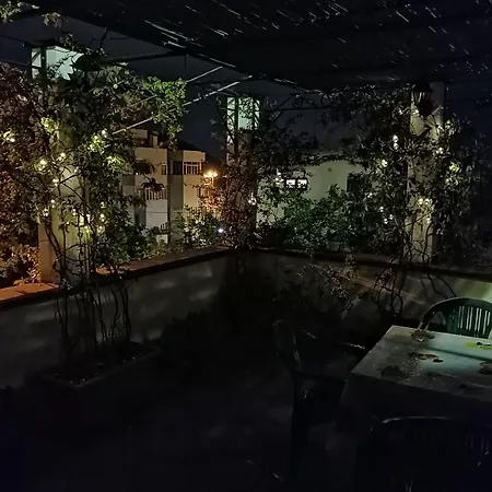 B&B Moscani-2